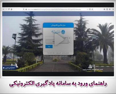 Responsive Image